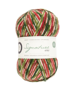 Signature 4ply - Holly Berry