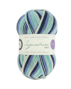 Signature 4ply - Winter Icicle (Winwick Mum Collection)