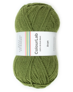 ColourLab Aran - Moss Green